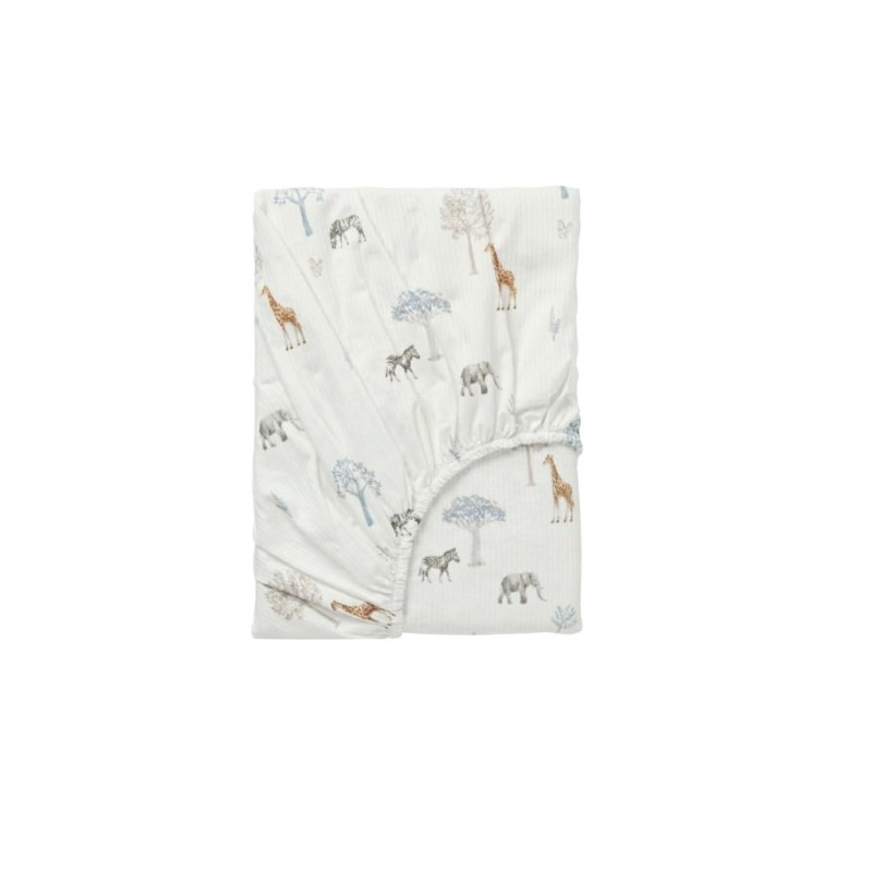 BAJERA PUNTO COCHE 40*80 TANZANIA