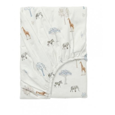 BAJERA PUNTO COCHE 40*80 TANZANIA