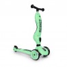 PATINETE SCOOT AND RIDE KIWI